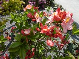 07-Garten