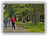 3-Wanderung zum Meilerplatz (1) klein 043