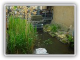 2b-Plauen-Spaziergang 1 (28) klein 035